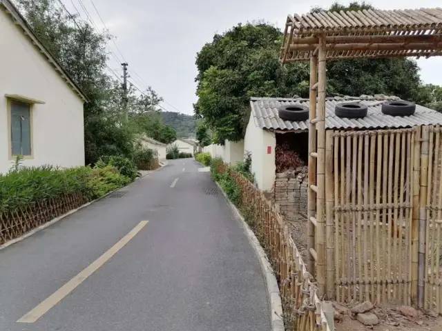 谢墅庾村相吊后打生肖,警惕虚假宣传,专家解答解释落实